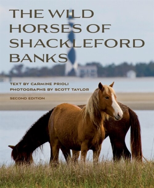 Wild Horses of Shackleford Banks (Paperback, 2)