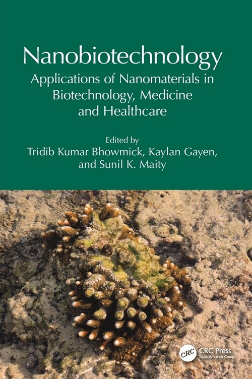 Nanobiotechnology : Applications of Nanomaterials in Biotechnology, Medicine and Healthcare (Hardcover)