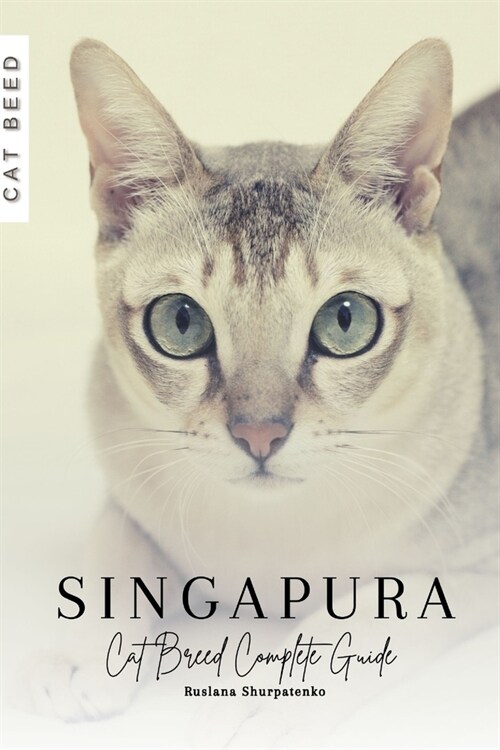 Singapura: Cat Breed Complete Guide (Paperback)