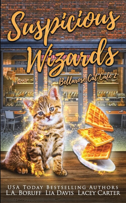 Suspicious Wizards (Paperback)