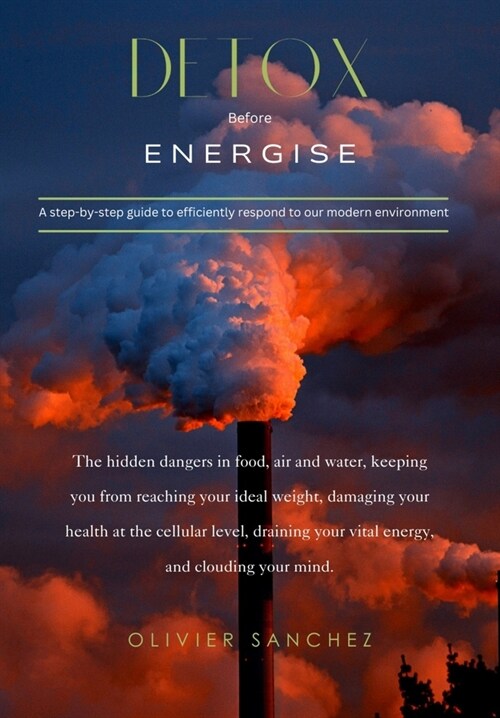 Detox before Energise: A step-by-step guide to efficiently respond to our modern environment (Paperback)