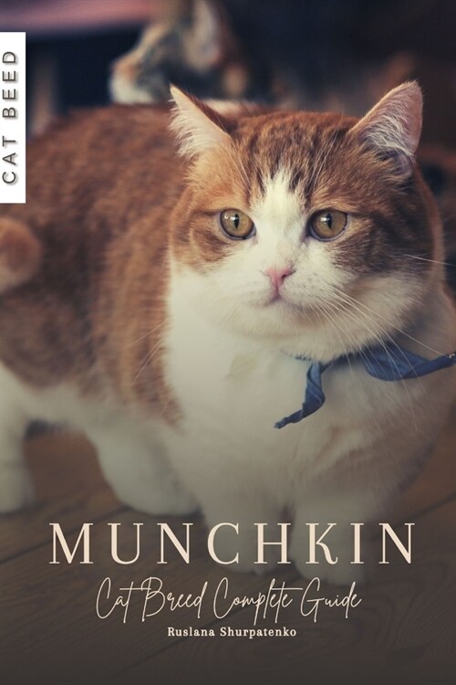 Munchkin: Cat Breed Complete Guide (Paperback)