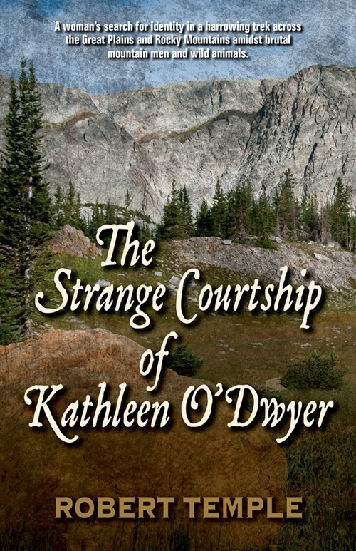 The Strange Courtship of Kathleen ODwyer (Paperback)