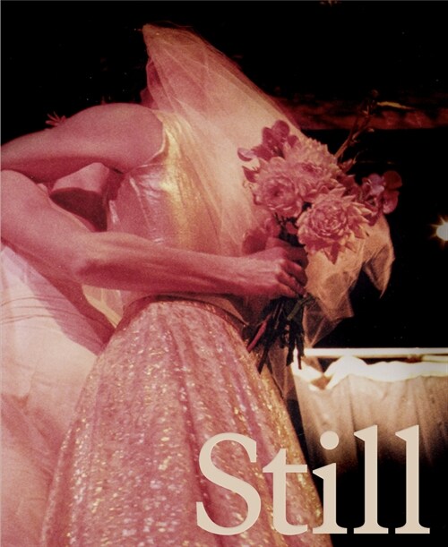 Still Life: Photographs & Love Stories (Hardcover)