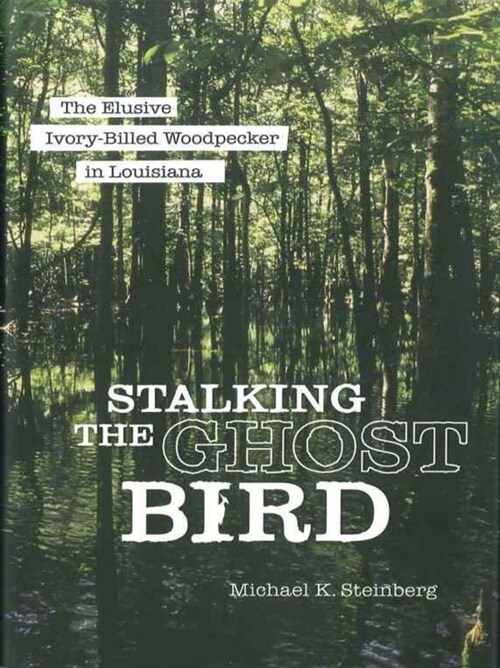 Stalking the Ghost Bird: The Elusive Ivory-Billed Woodpecker in Louisiana (Paperback)