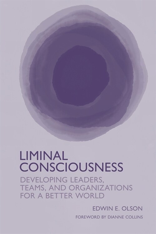 Liminal Consciousness : Developing Leaders, Teams, and Organizations for a Better World (Paperback)