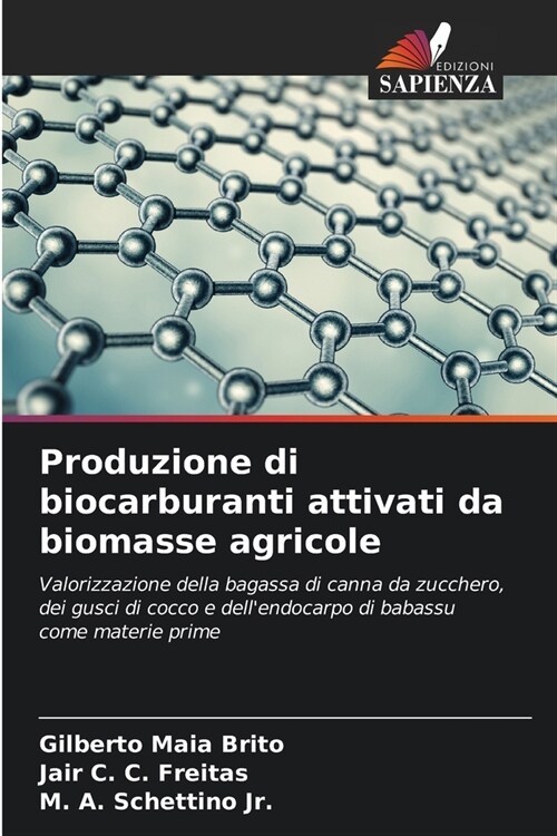 Produzione di biocarburanti attivati da biomasse agricole (Paperback)