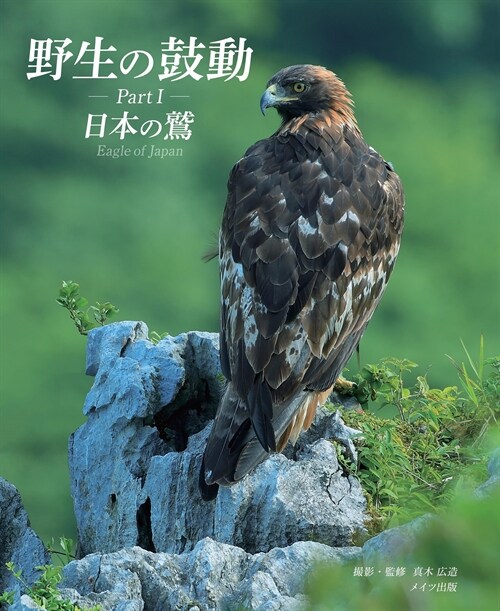 野生の鼓動 (1) 日本の鷲