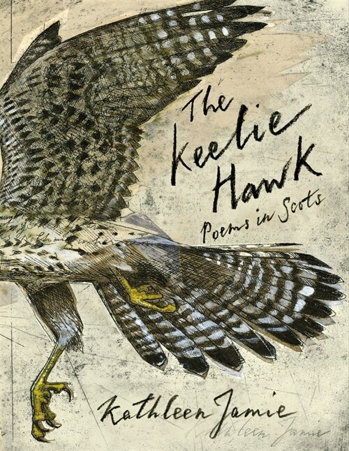 The Keelie Hawk : Poems in Scots (Paperback)