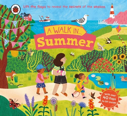 A Walk in Summer : Lift the flaps to reveal the secrets of the season (Board Book)