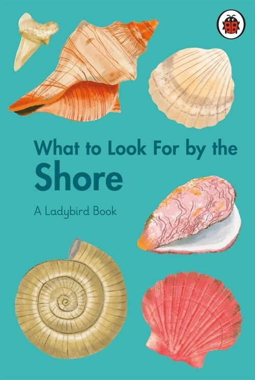 What to Look For by the Shore (Hardcover)