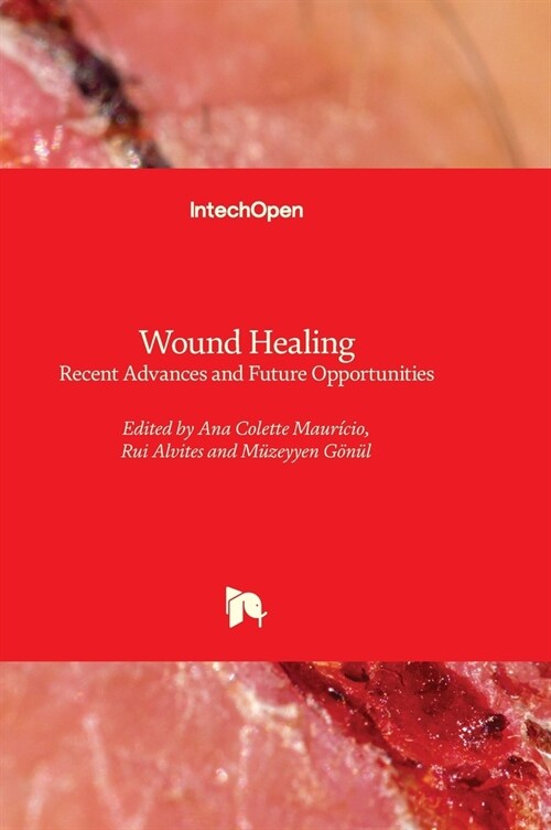 Wound Healing : Recent Advances and Future Opportunities (Hardcover)