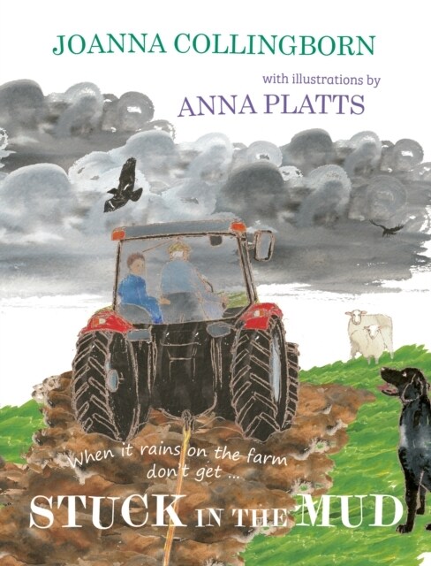 Stuck in the Mud : the brilliant award-winning adventure at Hillside Farm (Paperback)