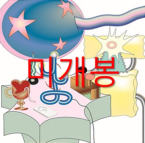 [중고] 나상현씨밴드 - 축제