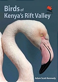 Birds of Kenyas Rift Valley (Paperback)