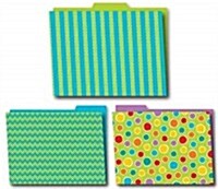 Fresh Sorbet File Folders (Folded)