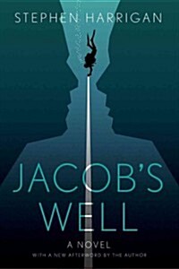 Jacobs Well (Paperback)