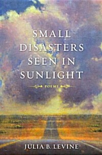 Small Disasters Seen in Sunlight (Paperback)