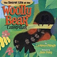 The Secret Life of the Woolly Bear Caterpillar (Hardcover)