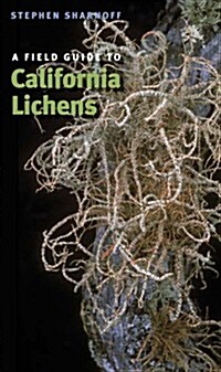 A Field Guide to California Lichens (Paperback)
