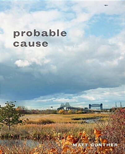 Probable Cause (Hardcover)