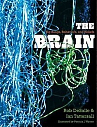 The Brain: Big Bangs, Behaviors, and Beliefs (Paperback)
