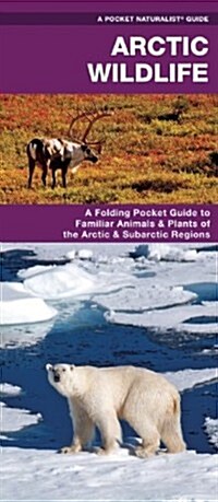 Arctic Wildlife: An Folding Pocket Guide to Familiar Animals & Plants of the Arctic & Subarctic Regions (Other)