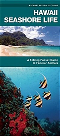 Hawaii Seashore Life: A Folding Pocket Guide to Familiar Plants and Animals (Paperback)