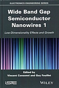 Wide Band Gap Semiconductor Nanowires 1 : Low-Dimensionality Effects and Growth (Hardcover)