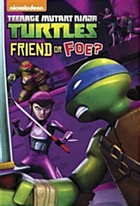 Friend or Foe? (Paperback)