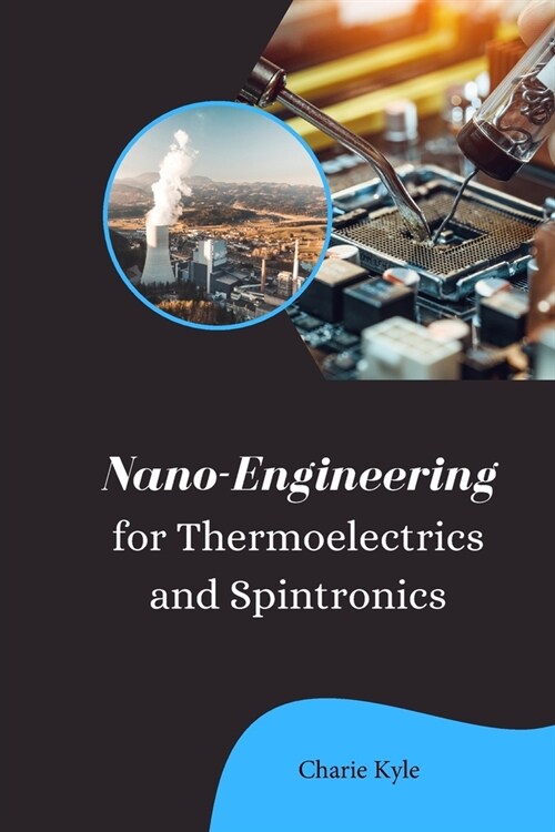 Nano Engineering for Thermoelectrics and Spintronics (Paperback)