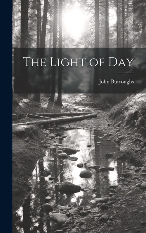 The Light of Day (Hardcover)