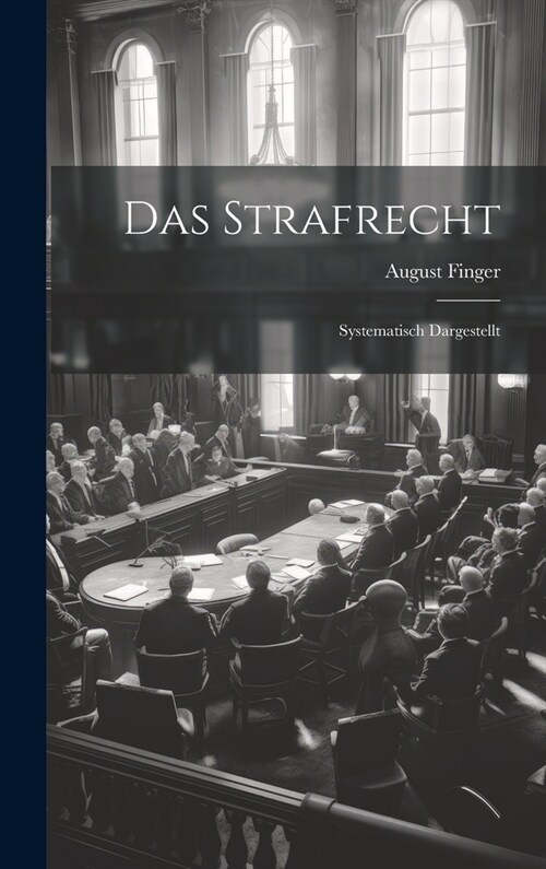 Das Strafrecht: Systematisch Dargestellt (Hardcover)