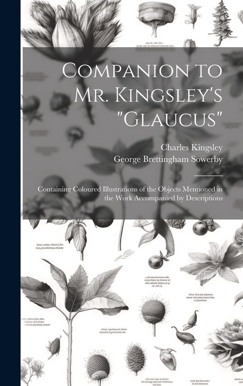 Companion to Mr. Kingsleys Glaucus: Containing Coloured Illustrations of the Objects Mentioned in the Work Accompanied by Descriptions (Hardcover)