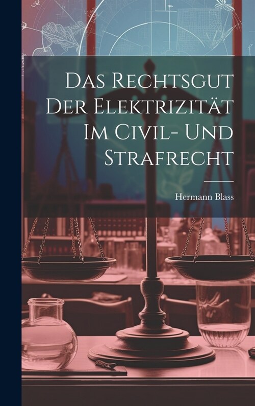 Das Rechtsgut Der Elektrizit? Im Civil- Und Strafrecht (Hardcover)