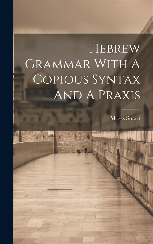 Hebrew Grammar With A Copious Syntax And A Praxis (Hardcover)