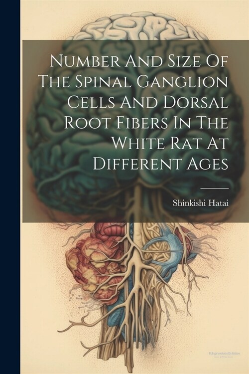 Number And Size Of The Spinal Ganglion Cells And Dorsal Root Fibers In The White Rat At Different Ages (Paperback)