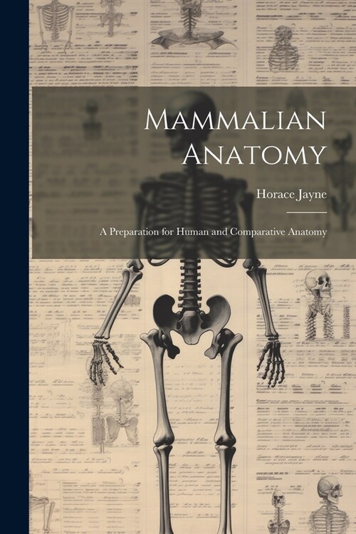 Mammalian Anatomy; a Preparation for Human and Comparative Anatomy (Paperback)