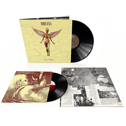 [수입] Nirvana - In Utero [30th Anniversary][180g 2LP]