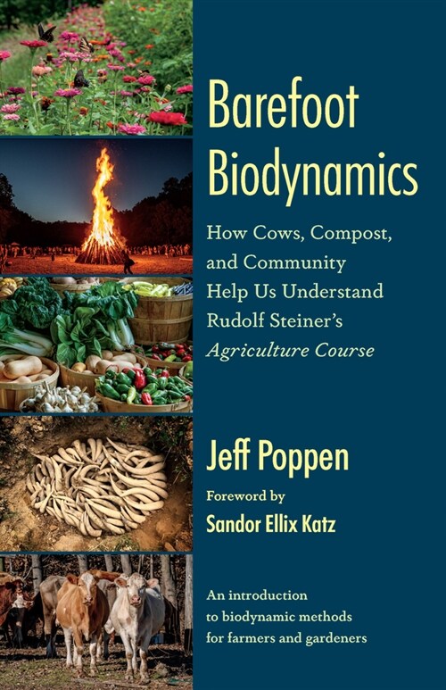 Barefoot Biodynamics: How Cows, Compost, and Community Help Us Understand Rudolf Steiners Agriculture Course (Paperback)