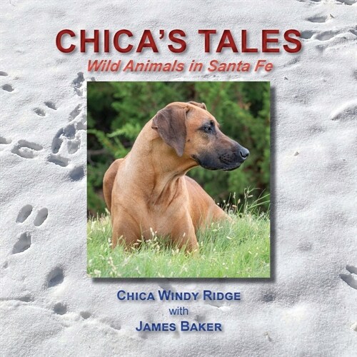 Chicas Tales, Wild Animals in Santa Fe (Paperback)