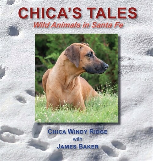Chicas Tales: Wild Animals in Santa Fe (Hardcover)