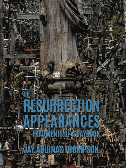 The Resurrection Appearances: Fragments of a Daybook (Paperback)