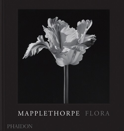 Mapplethorpe Flora : The Complete Flowers (Hardcover)