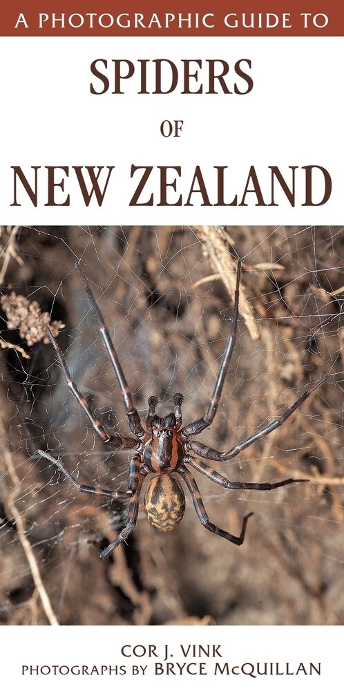 A Photographic Guide to Spiders of New Zealand (Paperback)