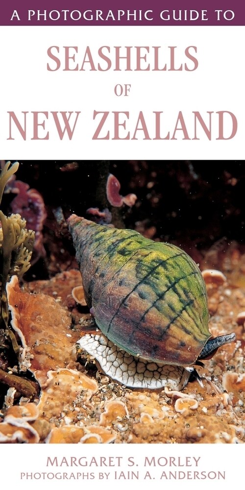 A Photographic Guide to Seashells of New Zealand (Paperback)