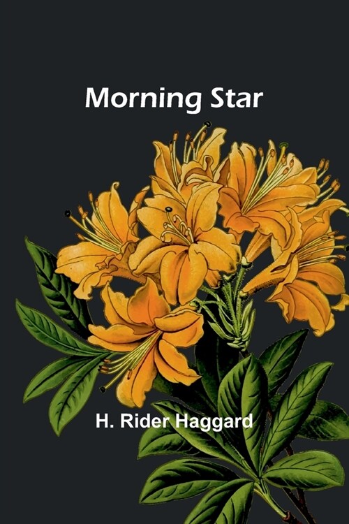 Morning Star (Paperback)