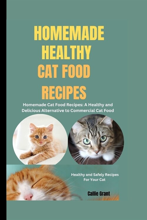 Homemade Healthy Cat Food Recipes (Paperback)