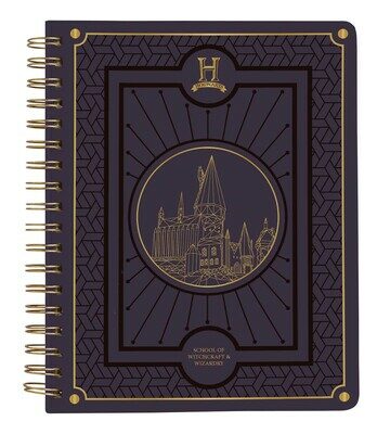 Harry Potter: Hogwarts Teachers 12-Month Undated Planner: (Harry Potter School Planner School, Harry Potter Gift, Harry Potter Stationery, Undated Pl (Spiral)