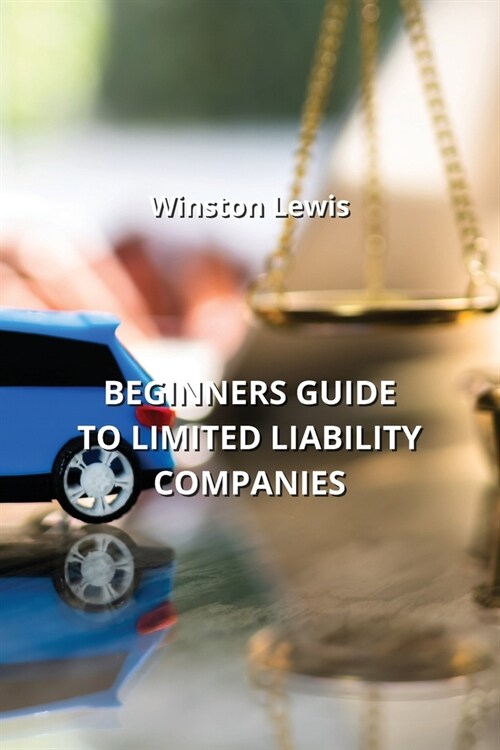 Beginners Guide to Limited Liability Companies (Paperback)